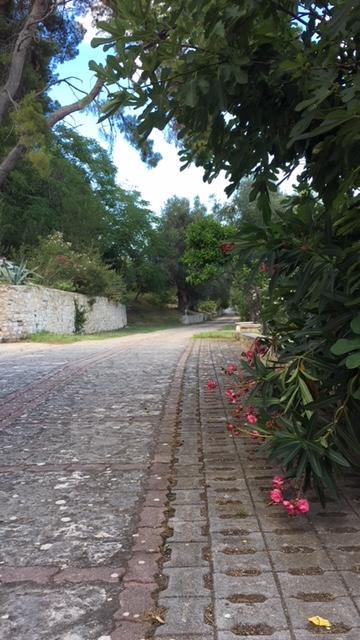 Tenuta Valle Della Corte เวียสเต ภายนอก รูปภาพ