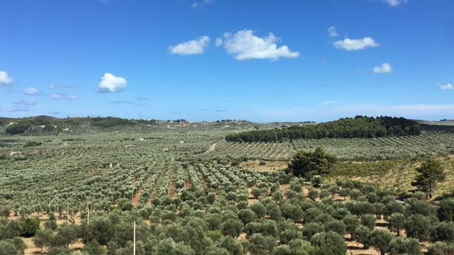 Tenuta Valle Della Corte เวียสเต ภายนอก รูปภาพ