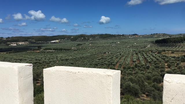 Tenuta Valle Della Corte เวียสเต ภายนอก รูปภาพ